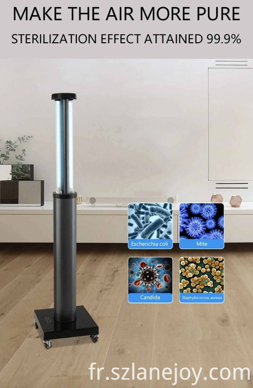 Lampe UV ultraviolette de désinfection de l'ozone UVC stérilisant la lumière germicide